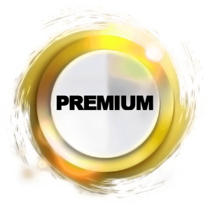 PREMIUM category APSC Group AroundAffair ADV sky web solution social service