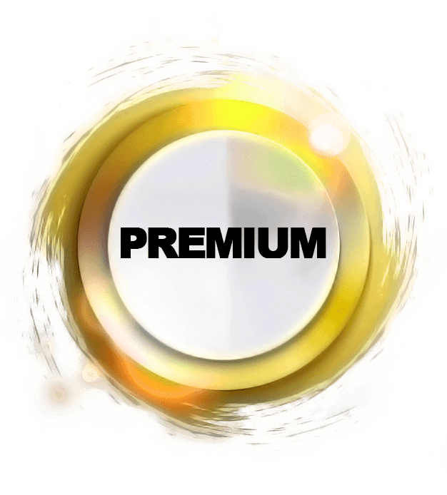 PREMIUM category APSC Group AroundAffair ADV sky web solution social service